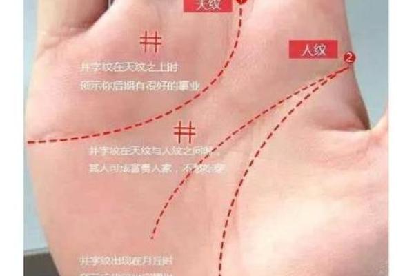 手相解读：如何通过手相帮人找到事业与爱情的方向