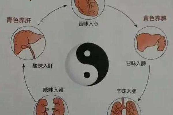 从大五行看五脏六腑的关系与保健