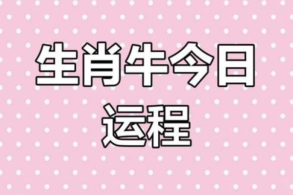 年运势大揭示：哪些生肖最受宠，哪些最需小心