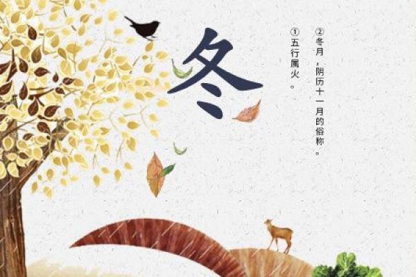 冬字的五行属性解析及其与自然元素的关系