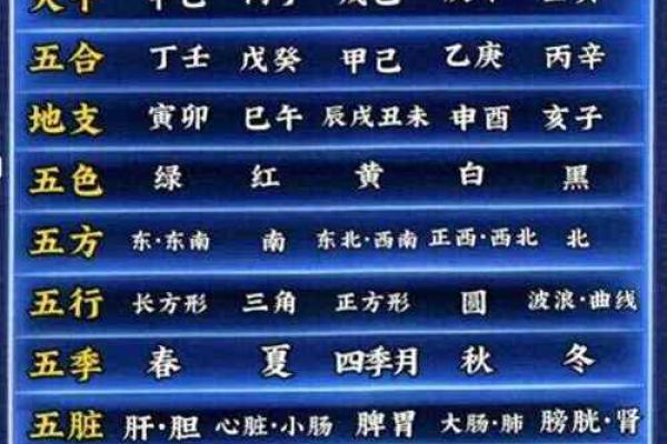 如何查询自己的五行属性及其分析方法