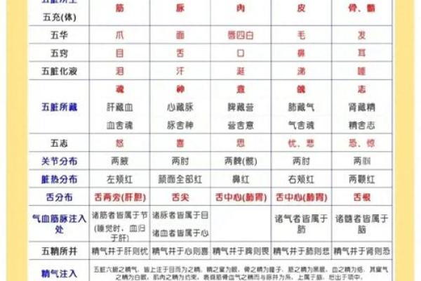 如何查询自己的五行属性及其分析方法