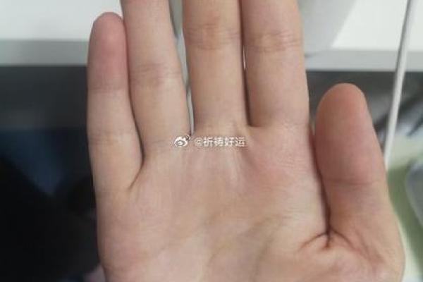 走近白宝全命理：了解命运的密码与变化