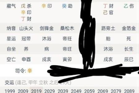 天干地支解析与运势探讨