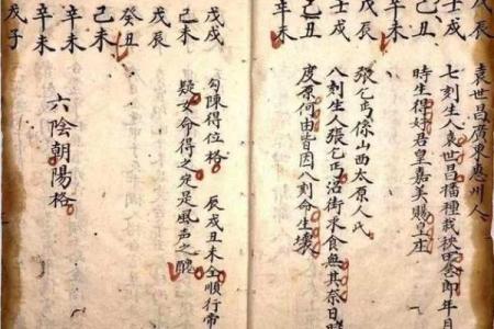 探索台湾八字命理的独特魅力与应用分析