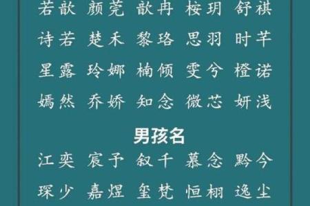 如何选择适合宝宝的起名网站 推荐几个优质平台