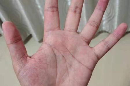 手相解析：羽毛纹的深层意义与人生启示