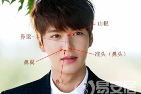 鼻梁高的面相有哪些独特的性格特征