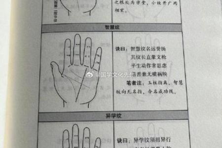 手相解读：如何通过手相帮人找到事业与爱情的方向