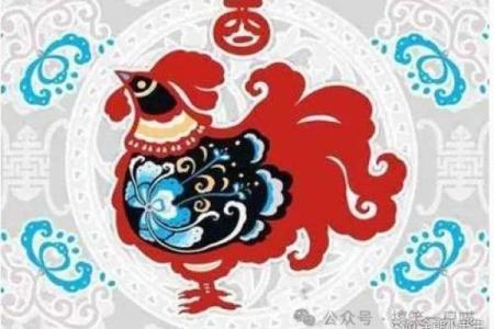 男鸡宝宝名字大全及寓意 让每个名字都充满好运