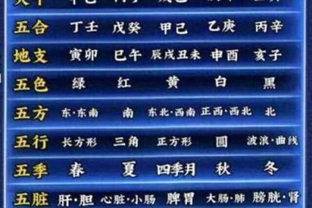 如何查询自己的五行属性及其分析方法