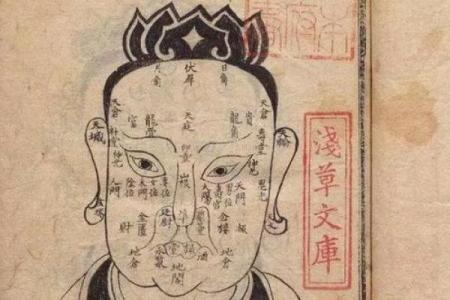 面相学中的低鼻梁：性格与命运的深度解读