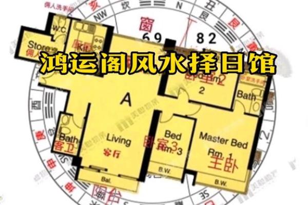 风水大师教你如何根据个人命理调整风水
