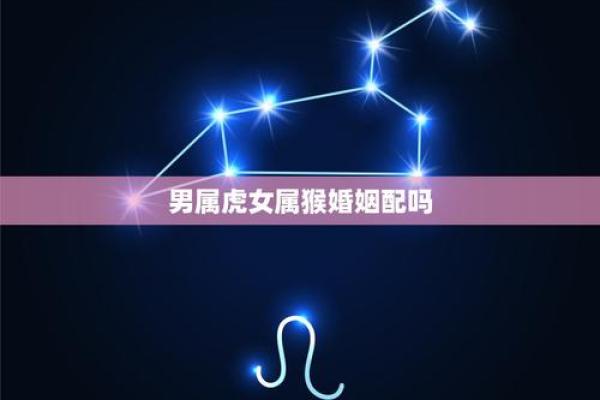 女猴男虎婚姻是否合适分析
