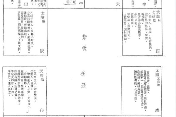 紫微排盘软件带你走进命理学的世界