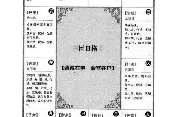 紫微排盘软件带你走进命理学的世界