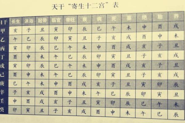 探秘排盘系统：从星座到命运的深度剖析