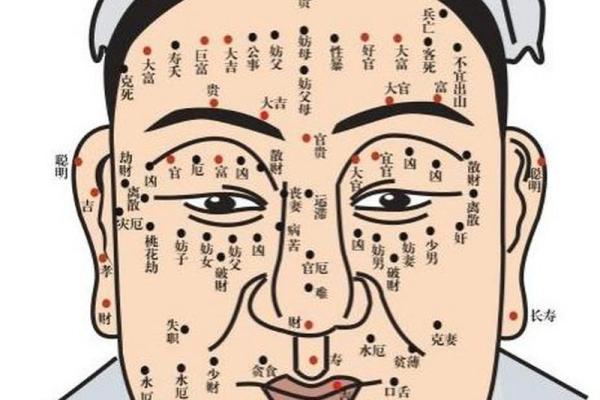 过三关痣相图解：深度解读面部痣相的秘密