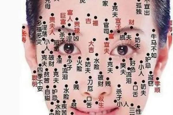 过三关痣相图解：深度解读面部痣相的秘密