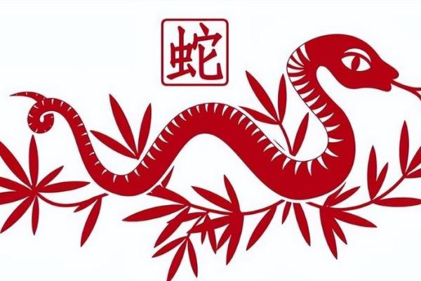 生肖蛇图片精选 领略传统与现代的完美融合