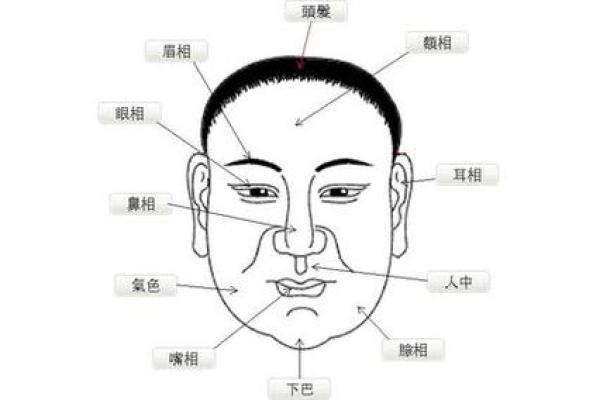 好色面相的五大特征与解析