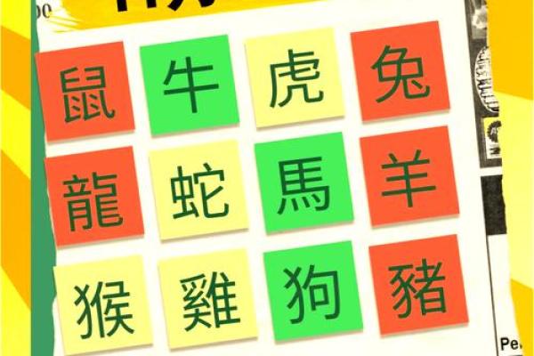 十二生肖如何助你掌握命运与运势变化