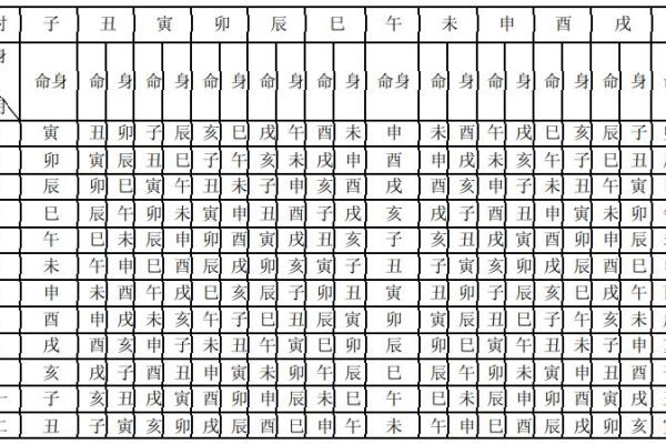 紫斗排盘的奥秘与实用技巧揭秘