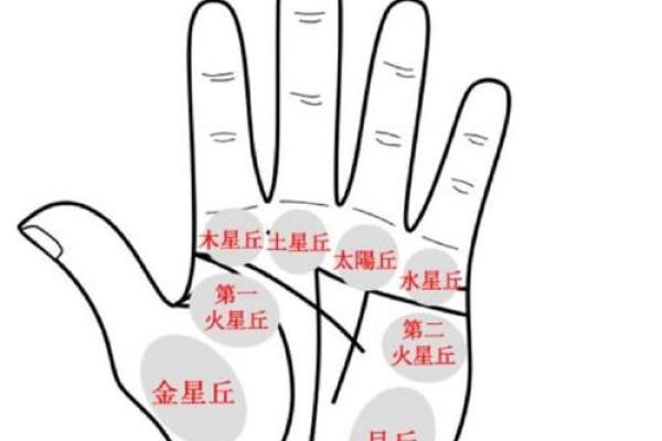 如何通过命理分析正财运势提升财富运道