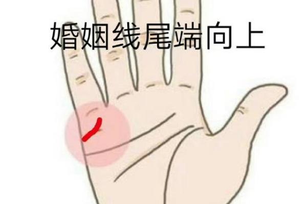 手相算婚姻运势，预见你未来的幸福与挑战