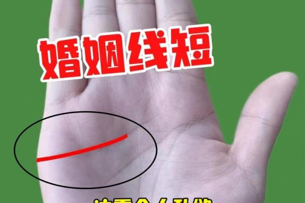 手相算婚姻运势，预见你未来的幸福与挑战