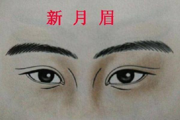 尖嘴面相的性格解读与人生轨迹分析