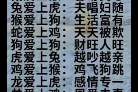 牛属相与哪些生肖最具缘分，最佳配对揭秘