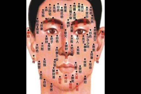 人体痣相大全解析与常见痣的命运象征