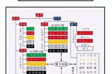 功核命理与人生规划：如何通过命理预测未来走向
