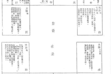 紫微排盘软件带你走进命理学的世界