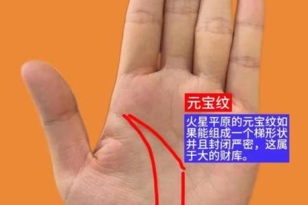 手相中的元宝纹：财富与事业双赢的女性标志