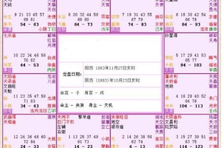 午命的概念与特点解析