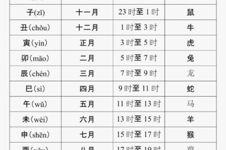 天干地支对应的生肖和属性解析