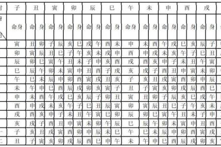 紫斗排盘的奥秘与实用技巧揭秘