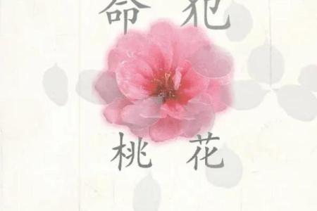 八字命理中如何判断桃花运的强弱与影响因素