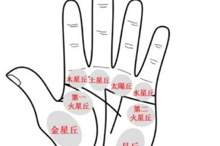 如何通过命理分析正财运势提升财富运道