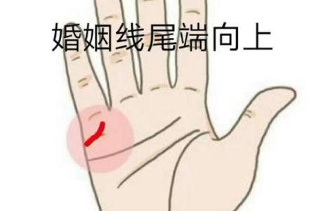 手相算婚姻运势，预见你未来的幸福与挑战