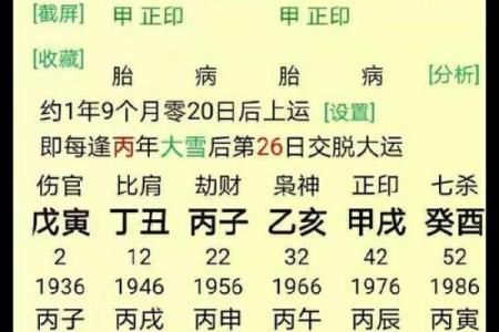丁火命的命理特征及其影响