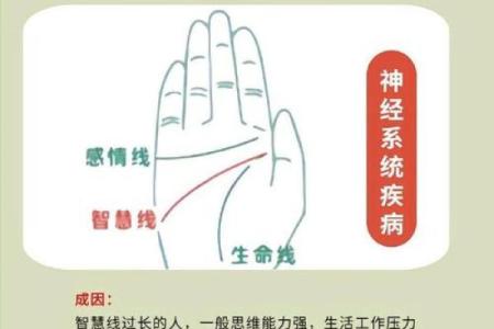 探索手相医学的奥秘与应用