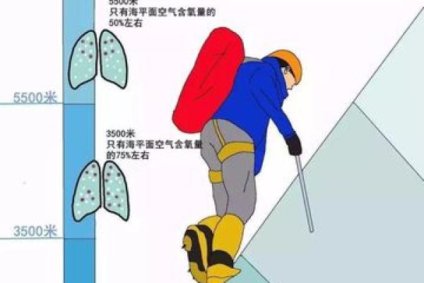 死者第一天的身体反应与科学解释