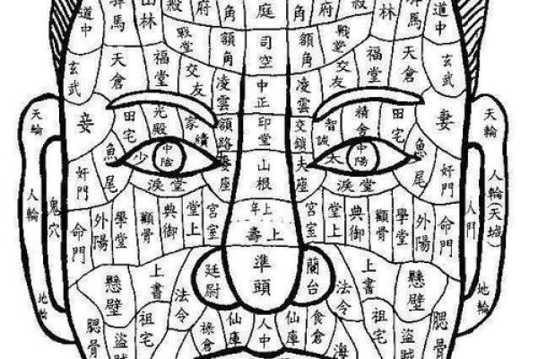 阴部有痣的命理解析与麻衣神相的深度联系