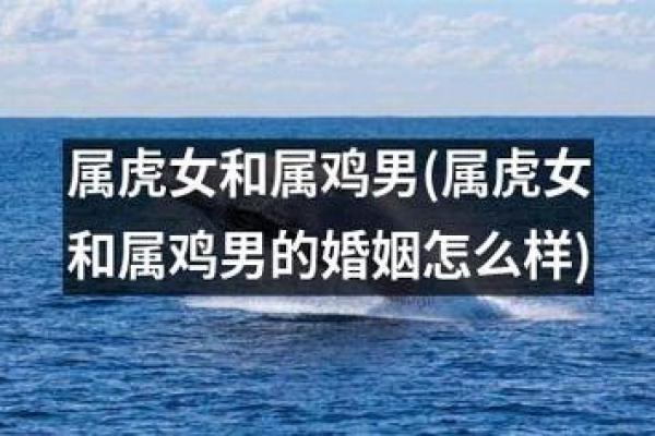 女猴与男虎的婚姻是否和谐