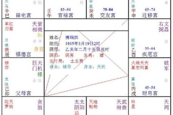 八字排盘在线分析，了解你的命理优势