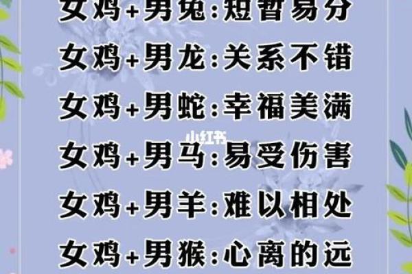 男猪女马婚姻是否合适？解析生肖配对的真实情况