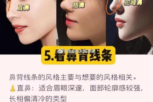 如何通过女性鼻型看性格与运势
